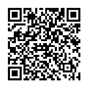 我会提议由卫生部牵头组建一个工作组去日韩了解情况二维码生成