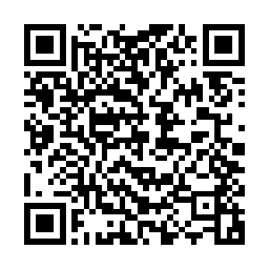我会真的把你弄去四夷让你好好的切身实践一下以心换心的好处二维码生成