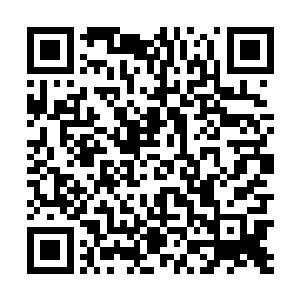 我会知道该给谁打电话――现在该让查尔斯来羡慕我了二维码生成