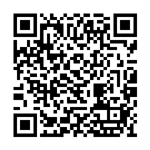 我会让你亲眼看着苏家是怎么一步步走向覆灭的二维码生成