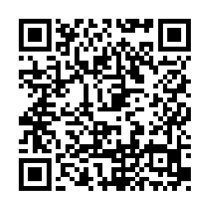 我会让诸葛生以观战员的身份一起前去迎战土匪二维码生成