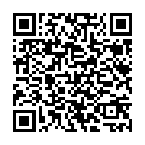 我会证明给你看云峥到底是不是一个绝情寡义之人二维码生成