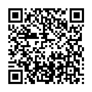 我会请求父亲在中央区域划出一块地方给你们苍茫大陆一脉二维码生成