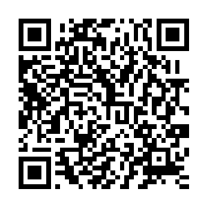 我会马上中断跟喜立亚公司的项目谈判并取消今后所有的订单二维码生成