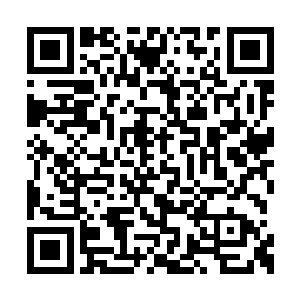 我估计不像上次拍卖五阶魔兽的尸体那么容易了二维码生成