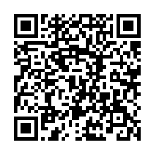 我估计她最少有一个星期不能再调取哪怕最简单的魔法二维码生成