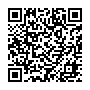 我估计接下来你们两万年时间都很难达到符神圣后期二维码生成