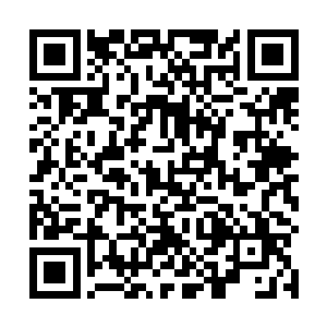 我估计曹刚在他面前应该是认可了你搞经济工作的能力二维码生成