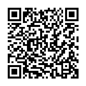 我估计真的会忍不住跳进海里……我笃信既然是我把你捡回来二维码生成
