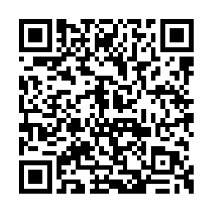 我伸出手拍了拍还在怔怔发呆的柳清雪和陈景皓二维码生成