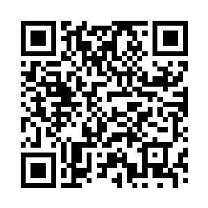 我伸手指了指帐篷四周几棵被打倒的树二维码生成