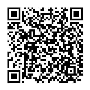 我伸手摸了摸这门帘有点潮湿斑斑点点的暗红色血迹沾染到我手指上二维码生成
