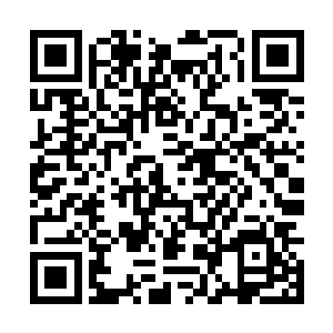我似乎也看见你有什么有价值的地方值得我的庇护呢~二维码生成