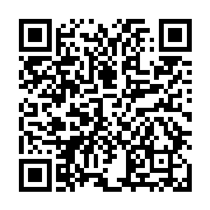 我体内的半黑半白珠子虽是随着我的修炼在身体里移动二维码生成