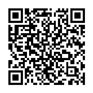 我侮辱沒侮辱　你自己最清楚　再废话　老子打烂你的鼻子　二维码生成