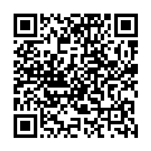 我便以铜钹山龙脉之灵来做这江山社稷图内的第一道龙脉二维码生成