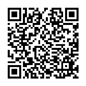 我便将上一次我们几个人吃饭时候说的事告诉了小太妹二维码生成