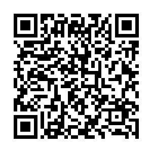 我便能够修炼出比阎罗降世还要强大的练体仙武通能二维码生成