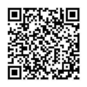我便能够有机会直接参与这部偶像剧的拍摄当中去二维码生成