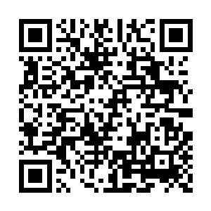 我便马上让爸爸撤销你凤凰美食城总经理的身份二维码生成