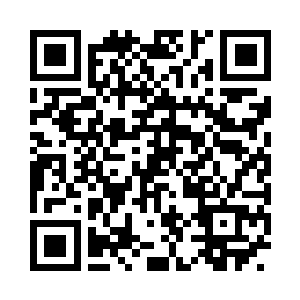 我保准你哥他们可以在混乱之城生存下去二维码生成