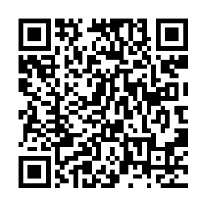 我保证出手的和他的相关势力都会倒霉上整整一百年二维码生成