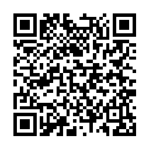 我保证用不了多久你的实力就能得到进一步提升的二维码生成