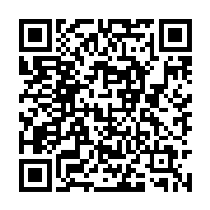 我俩是连夜从华国境内算是擅自越过国境线找来的二维码生成