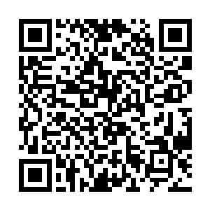 我俩还在上学……我俩还年轻……学业……为重……二维码生成