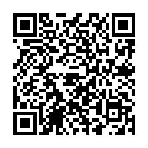 我倒也乐意对法正讲讲我还未认出你真实身份之前的事二维码生成