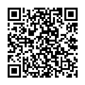 我倒也没真觉得在不杀一个妖仙的情况下能逼降他们二维码生成