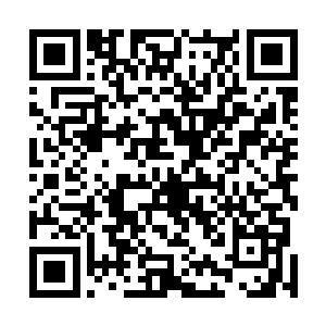 我倒很想知道眉妃到底求得了什么锦囊妙计度过这一难关二维码生成