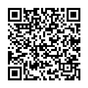 我倒想看看何方神圣竟然敢在我合欢教的地盘撒野二维码生成