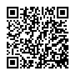 我倒是不介意去踢门的时候顺带把这玩意弄给你二维码生成