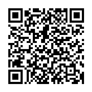 我倒是不介意让他们其中的一两个尝尝真正的战场是什么滋味二维码生成