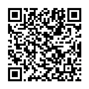 我倒是反而觉得那个肥胖的大智才是弥陀浮屠的弟子二维码生成