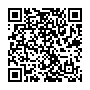 我倒是可以安静地思考一下现在我也不知道下一步该怎么做二维码生成