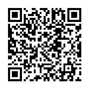 我倒是寻思过估计你不会要求我按照京戏的原板来唱二维码生成