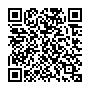 我倒是没有想到你居然会用铁艺龙这个作为这次比赛的主要项目二维码生成