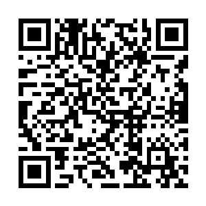 我倒是真希望再多来几家药企来咱们洼崮投资建厂二维码生成