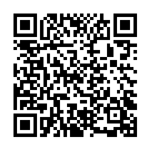 我倒是要尝尝飞龙部落最漂亮的美人到底是什么滋味二维码生成