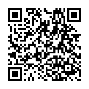 我倒是要看看那里究竟能给我带来什么样的惊喜二维码生成