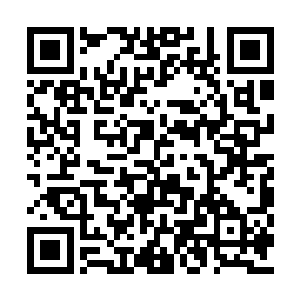 我倒要看看你们那个狗屁的杂碎共和军怎么愤怒二维码生成
