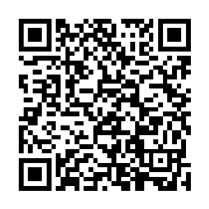 我倒要看看在他眼里到底是你这个认识没几天的朋友重要二维码生成