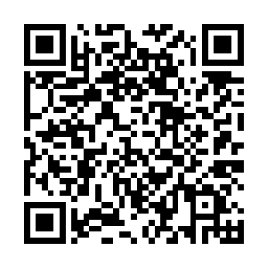 我倒要看看太夫人她准备给祁逸尘找个什么样的女子来二维码生成