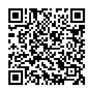 我倒要看看我们的钟大公子在美色面前是不是还能坚守君子本色二维码生成