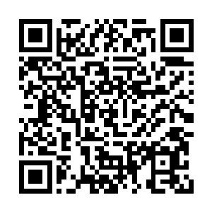 我倒要看看魔尊初期顶峰的高手有什么厉害之处二维码生成