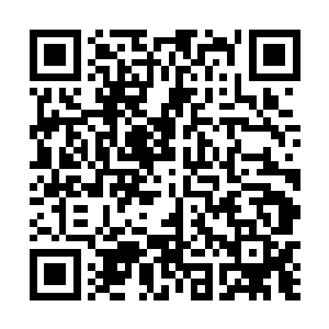 我倒要见识一下正道联盟年轻一代第一高手的实力……二维码生成