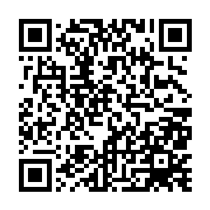 我倒觉得这会客室成了养老院――来的可全都是老头子二维码生成