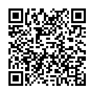 我做不到狠戾的灭杀一切影响到原仙者存在的生灵二维码生成
